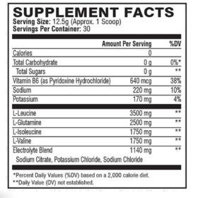 XTEND BCAA, 90 Serving - Watermelon